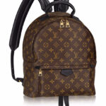 Louis vuitton Palm Springs Backpack MM M41560 Black